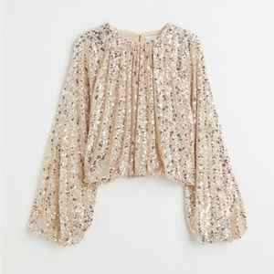 NWT sequin long balloon sleeve top